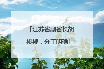 江苏省副省长胡彬郴，分工明确