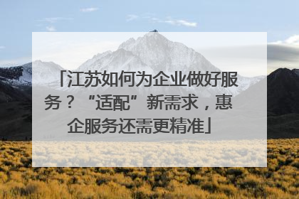 江苏如何为企业做好服务？“适配”新需求，惠企服务还需更精准