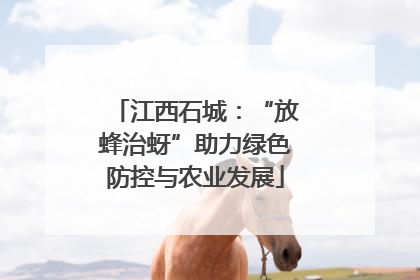 江西石城：“放蜂治蚜”助力绿色防控与农业发展