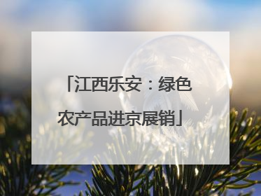 江西乐安：绿色农产品进京展销