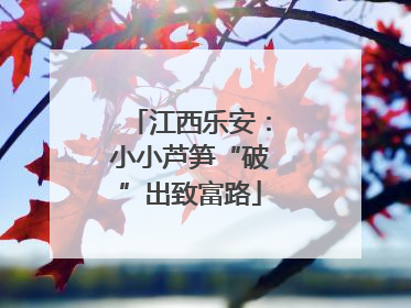 江西乐安：小小芦笋“破”出致富路