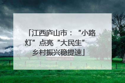 江西庐山市：“小路灯”点亮“大民生” 乡村振兴稳提速