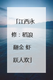 江西永修：稻浪翻金 虾跃人欢