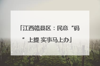 江西赣县区：民意“码”上提 实事马上办