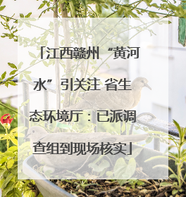 江西赣州“黄河水”引关注 省生态环境厅：已派调查组到现场核实