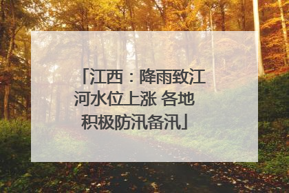江西：降雨致江河水位上涨 各地积极防汛备汛