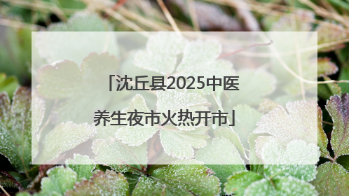 沈丘县2025中医养生夜市火热开市