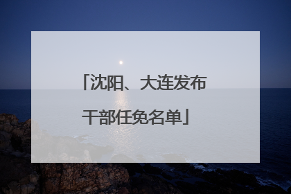 沈阳、大连发布干部任免名单