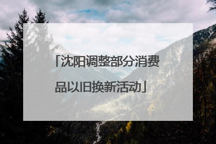 沈阳调整部分消费品以旧换新活动