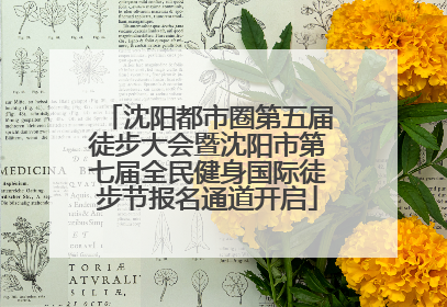 沈阳都市圈第五届徒步大会暨沈阳市第七届全民健身国际徒步节报名通道开启