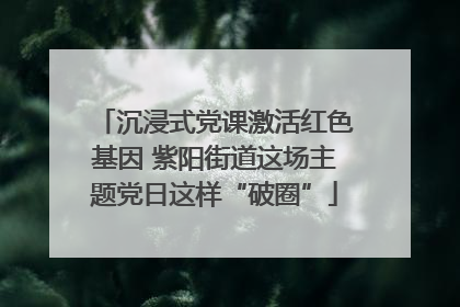 沉浸式党课激活红色基因 紫阳街道这场主题党日这样“破圈”