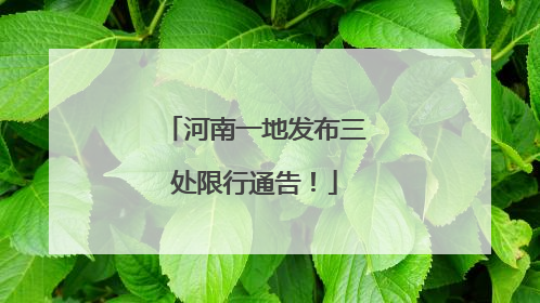 河南一地发布三处限行通告！