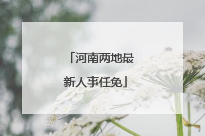 河南两地最新人事任免