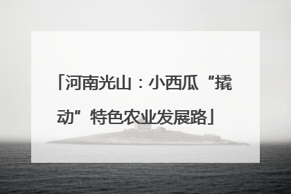 河南光山：小西瓜“撬动”特色农业发展路