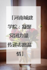 河南城建学院：凝聚党团力量 传递志愿温情