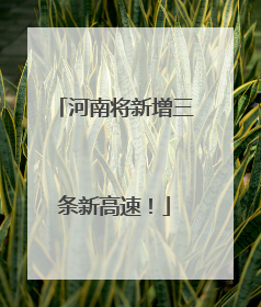 河南将新增三条新高速！