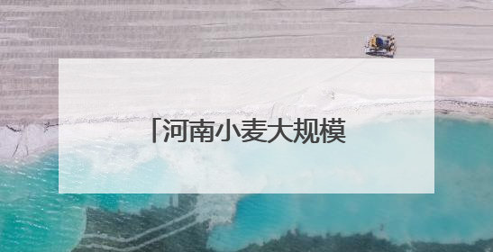河南小麦大规模机收基本结束