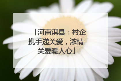 河南淇县：村企携手递关爱，浓情关爱暖人心