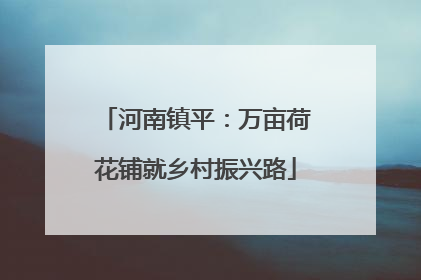 河南镇平：万亩荷花铺就乡村振兴路