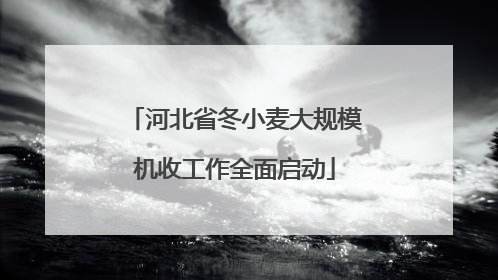 河北省冬小麦大规模机收工作全面启动