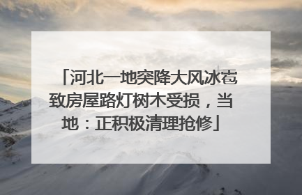 河北一地突降大风冰雹致房屋路灯树木受损，当地：正积极清理抢修
