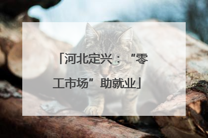 河北定兴：“零工市场”助就业