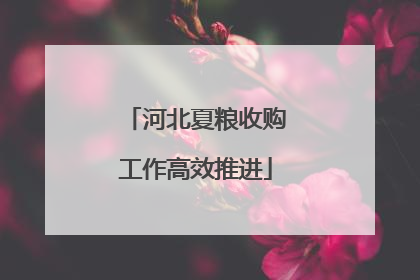 河北夏粮收购工作高效推进