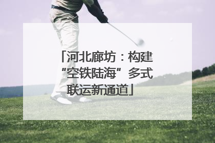 河北廊坊：构建“空铁陆海”多式联运新通道