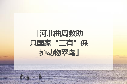 河北曲周救助一只国家“三有”保护动物翠鸟
