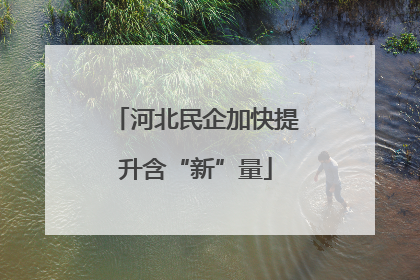 河北民企加快提升含“新”量