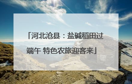 河北沧县：盐碱稻田过端午 特色农旅迎客来