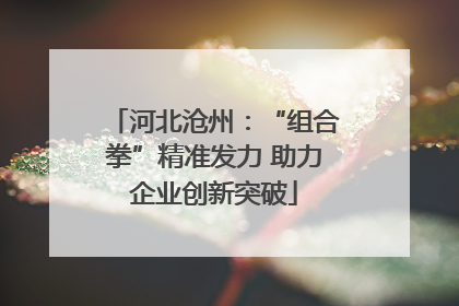 河北沧州：“组合拳”精准发力 助力企业创新突破