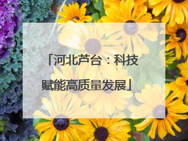 河北芦台：科技赋能高质量发展