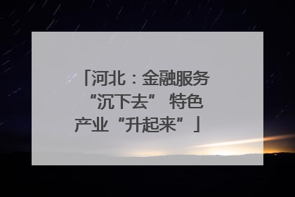 河北：金融服务“沉下去” 特色产业“升起来”