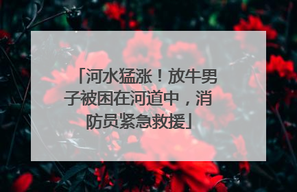 河水猛涨！放牛男子被困在河道中，消防员紧急救援
