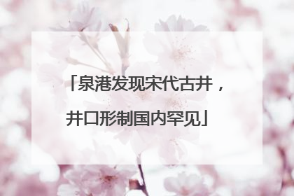 泉港发现宋代古井，井口形制国内罕见