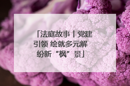 法庭故事丨党建引领 绘就多元解纷新“枫”景
