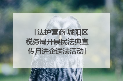 法护营商 城阳区税务局开展民法典宣传月进企送法活动