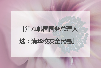 注意韩国国务总理人选：清华校友金民锡