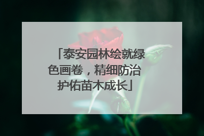 泰安园林绘就绿色画卷，精细防治护佑苗木成长