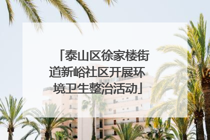 泰山区徐家楼街道新峪社区开展环境卫生整治活动