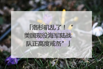 洛杉矶乱了！“美国现役海军陆战队正高度戒备”