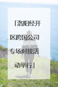 洛阳经开区跨国公司专场对接活动举行