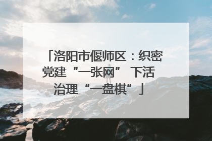 洛阳市偃师区：织密党建“一张网” 下活治理“一盘棋”
