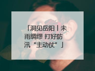 洞见岳阳丨未雨绸缪 打好防汛“主动仗”