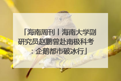 海南周刊丨海南大学副研究员赵鹏曾赴南极科考：企鹅都市破冰行