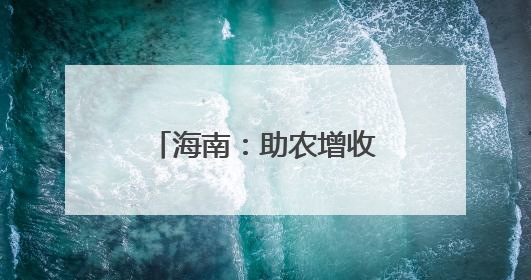 海南：助农增收 “黄金叶”