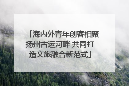 海内外青年创客相聚扬州古运河畔 共同打造文旅融合新范式