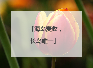 海岛麦收，长岛唯一