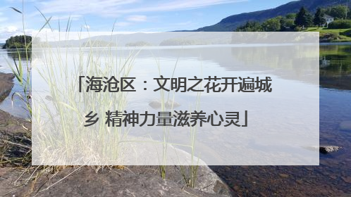 海沧区：文明之花开遍城乡 精神力量滋养心灵